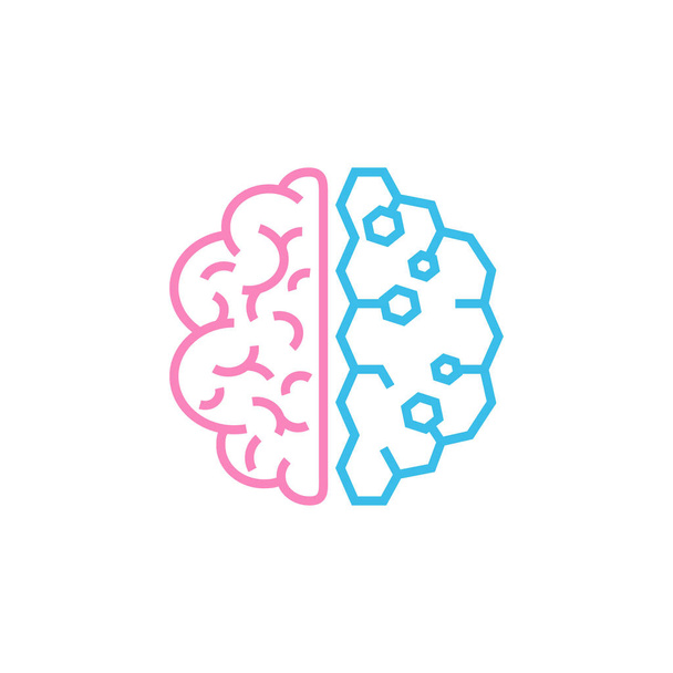 Hersenen. De twee helften van de hele hersenen van roze en blauw. Man en vrouw denken concept. Voorraadvector illustratie geïsoleerd op witte achtergrond. - Vector, afbeelding