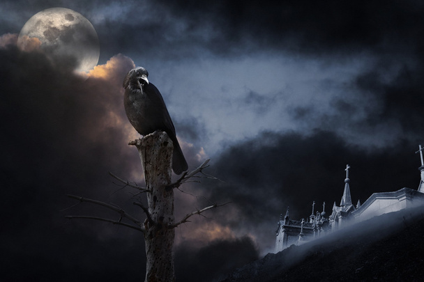 Хэллоуинский ворон
 - Фото, изображение