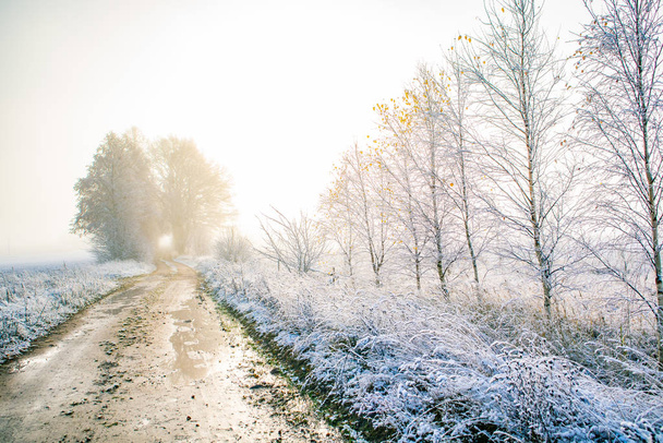A beautiful scenery of a gravel road in the late autumn with first snow. Northern Europe landscape at the beginning of winter. - 写真・画像