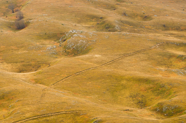 Krajobraz duszpasterski z krętym terenem - Zdjęcie, obraz
