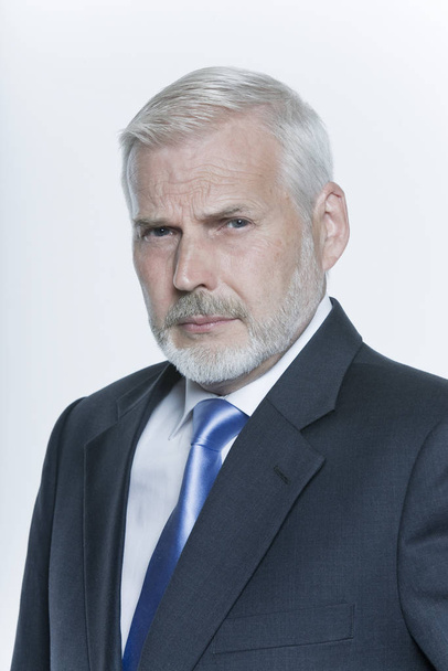 portrait of handsome  expressive businessman - Fotografie, Obrázek