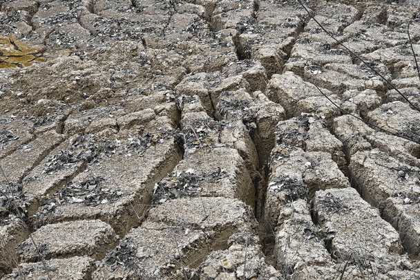 Klimaatverandering veroorzaakte zeer diepe, uitgesproken krimp en droogscheuren in droge grond in Europa met gedroogde en dode vegetatie. - Foto, afbeelding