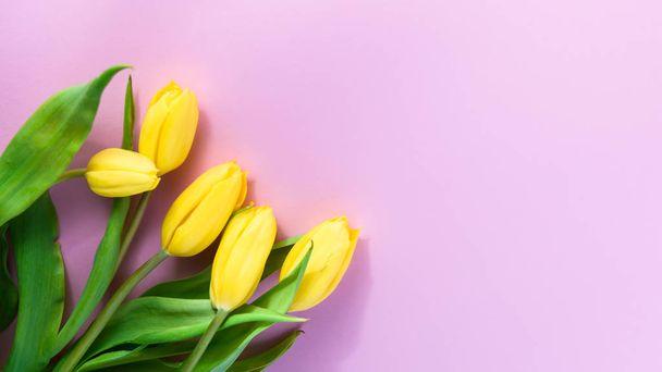 bloemstuk, gele tulpen op een roze achtergrond - Foto, afbeelding