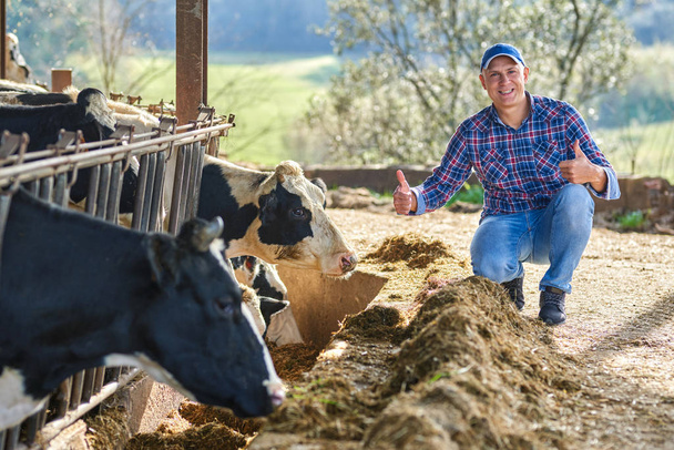 фермер на фермі з молочною коровою
 - Фото, зображення