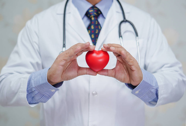 Врач держит красное сердце в руке в палате медсестер: здоровая сильная медицинская концепция
 - Фото, изображение