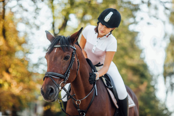 female rider with horse, selective focus - Fotografie, Obrázek
