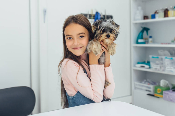 pretty girl with cute Yorkshire Terrier in veterinary clinic - Fotografie, Obrázek