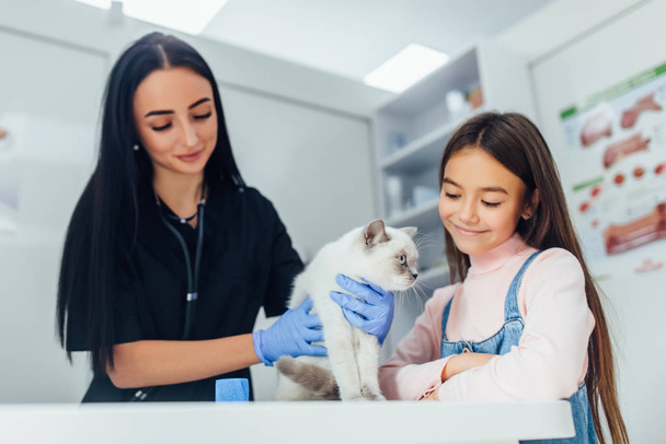 professional veterinarian and girl with cat, selective focus - 写真・画像