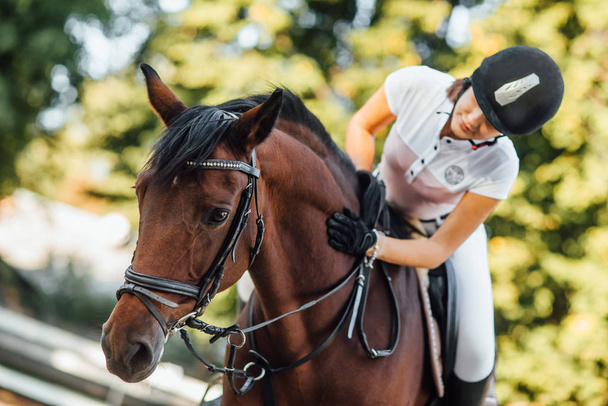 female rider with horse, selective focus - 写真・画像