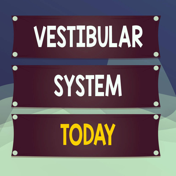 Writing note showing Vestibular System. Business concept for provides the leading contribution to the sense of balance Wooden panel attached nail on colorful background plank wood - Photo, Image
