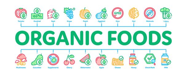 Bio-Öko-Lebensmittel minimal Infografik Banner Vektor - Vektor, Bild