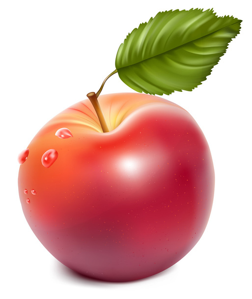 Ripe red apple with water drops. - Vector, Image
