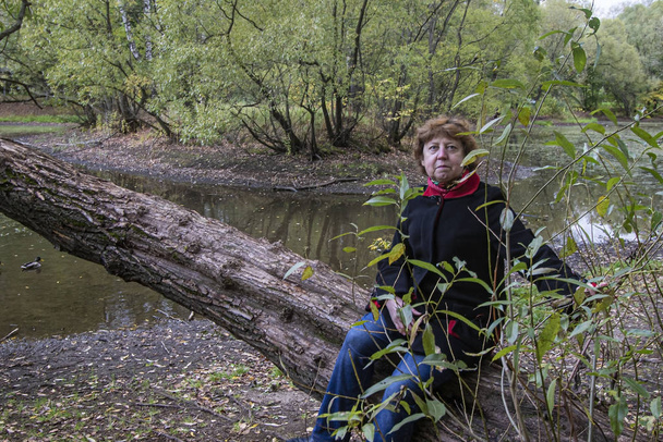 Otoño. Una señora con un abrigo negro con un collar rojo se sienta en un árbol caído sobre el fondo de un estanque con patos flotantes
 - Foto, imagen