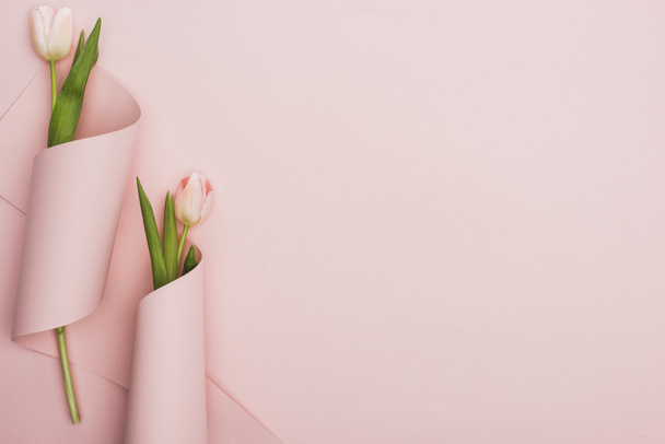top view of pink tulips wrapped in paper swirls on pink background - 写真・画像