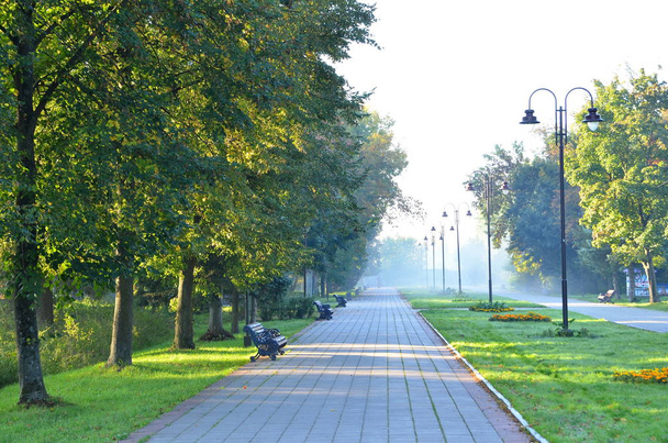 Callejón soleado en el parque matutino de otoño
 - Foto, imagen