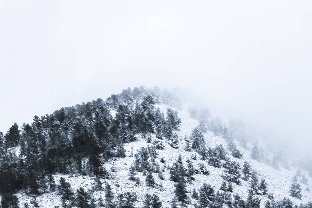 Montaña nevada
 - Foto, imagen
