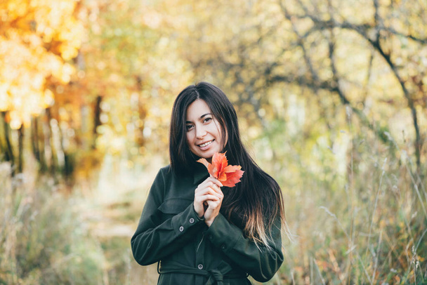 Dreamy belle fille avec de longs cheveux noirs naturels sur fond d'automne avec des feuilles colorées en bokeh
.  - Photo, image