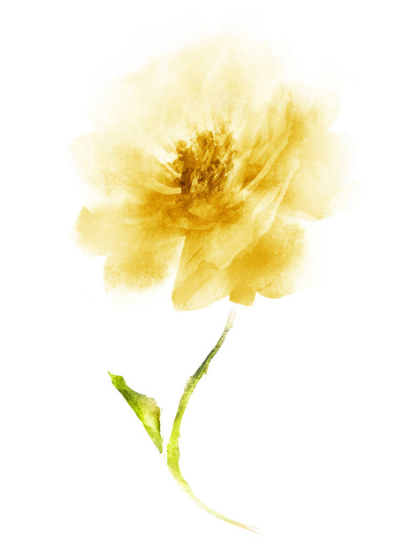 Watercolor flower , isolated on white background - Photo, Image