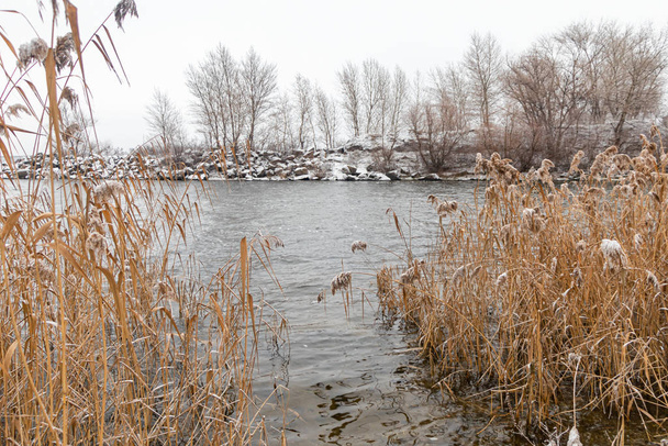 Χειμερινή φύση. Ο χειμώνας είναι ανώμαλος, το νερό ρέει στο ποτάμι και δεν παγώνει. Υπήρχε πολύ λίγο χιόνι. Το φαινόμενο του θερμοκηπίου. Οικολογική καταστροφή. - Φωτογραφία, εικόνα