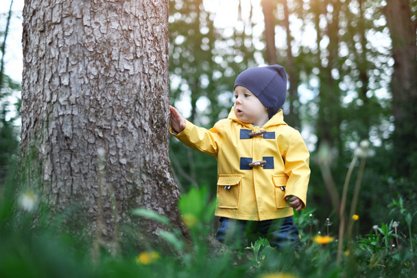 Kid in forest - Foto, Imagen