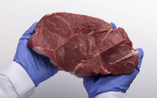 Travailleur de laboratoire dans des gants de protection tenant un morceau de viande crue
 - Photo, image