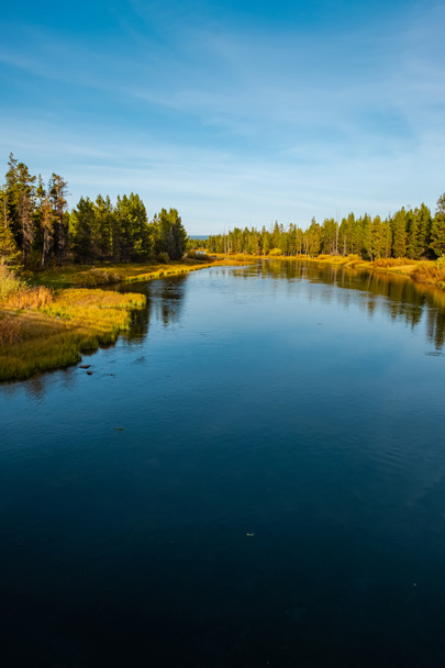 Nationaal park Yellowstone - Madison River, Usa - Foto, afbeelding