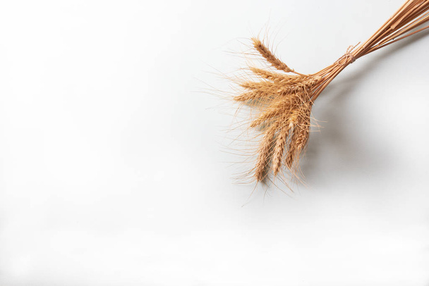 Bunch of golden rye ears, dry yellow cereals spikelets on light white background, closeup - Φωτογραφία, εικόνα