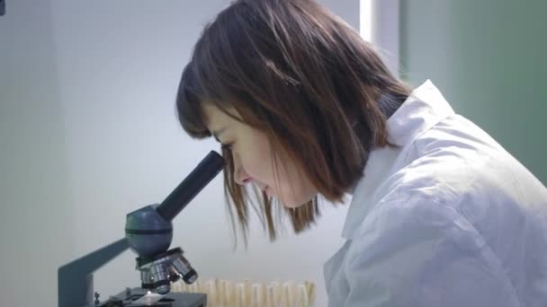 Young girl scientist looking through a microscope. She studies the samples. A young scientist conducts scientific research. She is researching a virus, looking for a cure for an epidemic vaccine - Imágenes, Vídeo