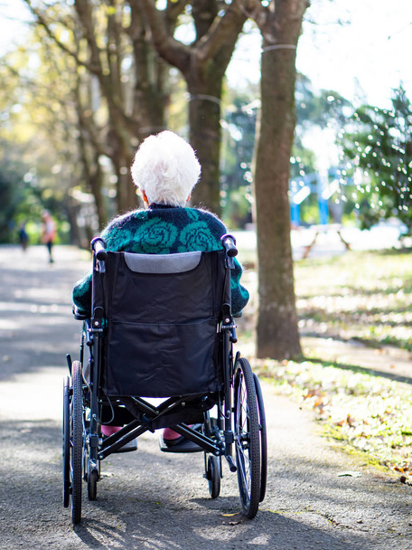 Grand-mère assise dans un fauteuil roulant
 - Photo, image