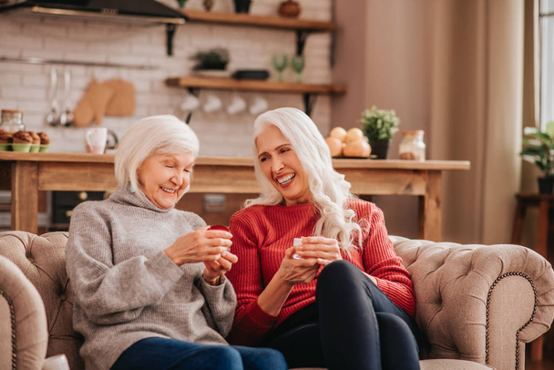 Two grey-haired pleasant cute ladies talkig about skin care - Fotoğraf, Görsel