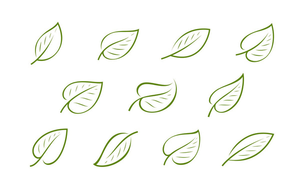 Natural green leaf logo. Nature, ecology icon or symbol vector - Vector, Image
