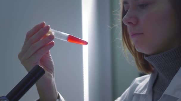 Young Girl Scientist Examines Test Tube With Blood. She studies the samples. A young scientist conducts scientific research. She is researching a virus, looking for a cure for an epidemic vaccine - Кадры, видео