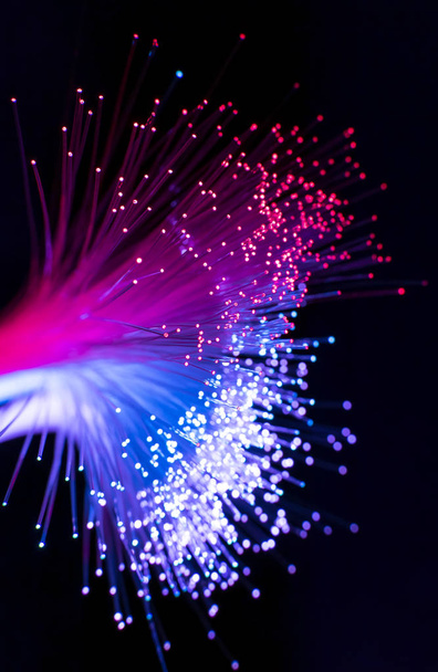 Çok hızlı internet iletişimi için fiber optik ağ kablosu, bilgiyi yüksek hızda hareket ettiren ince ışık iplikleri. - Fotoğraf, Görsel
