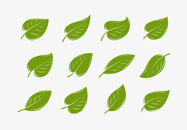 Набор значков зеленого листа. Естественный, органический логотип или вектор символов
 - Вектор,изображение