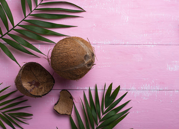 Kokosnoten en palmbladeren op roze - Foto, afbeelding