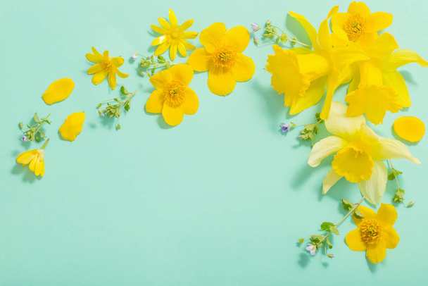 spring flowers on green background - 写真・画像