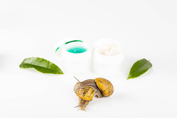 Cosmetics made with snail slime. Very healthy and organic products - Fotografie, Obrázek
