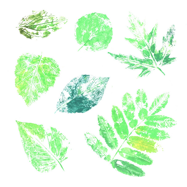 Watercolor collection of ink printing leaves - Foto, Imagen