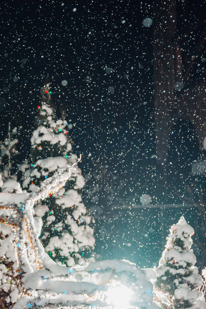Noel gecesi gökyüzünden kar gelir ve Noel ağaçlarını yağar. - Fotoğraf, Görsel