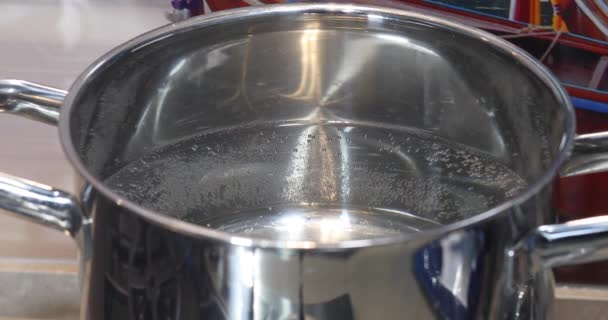 Een pot kokend water bereid voor het koken van spaghetti. - Video