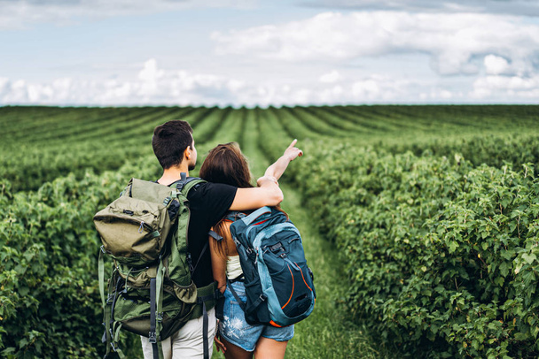 Back view of young couple with backpacks on currant plantations. - Фото, изображение