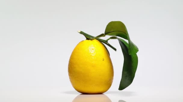 Gele grapefruit met bladeren op een witte tafel, rotatie 360 graden. Witte achtergrond.Ultra hoge definitie 3840x2160.4k resolutie - Video