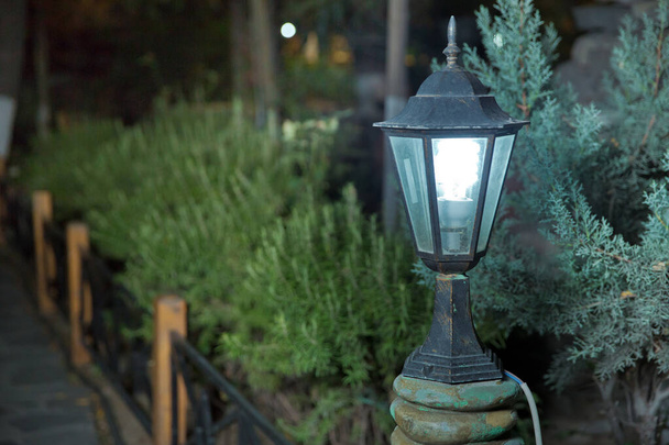 A háttérben Bush az a kis fény. Mágikus utcai lámpa közelkép másolási hellyel. Meleg lámpafény homályos háttérrel. Egy kis utcai lámpa világít a kertben éjszaka. Lámpások a kertben. - Fotó, kép
