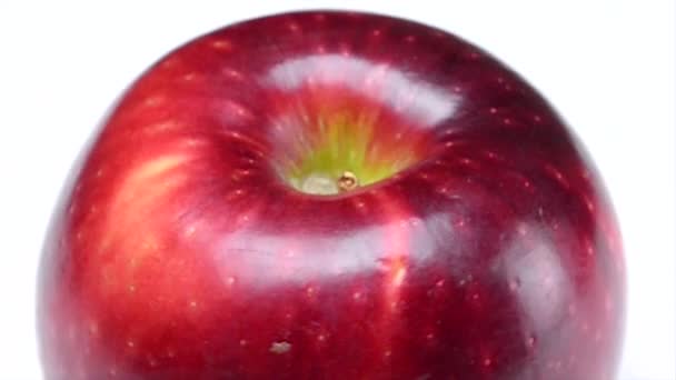Błyszczące czerwone jabłko na białym - Materiał filmowy, wideo