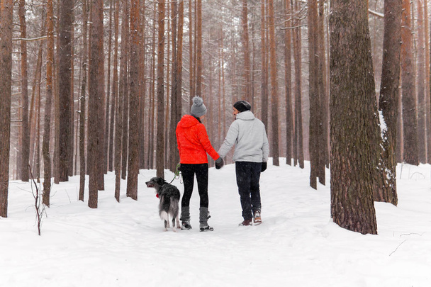 молода пара гуляє собакою в зимовому лісі
 - Фото, зображення
