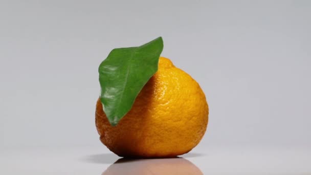 Ripe Tangerine Εσπεριδοειδή ή Mandarine με σκιά σε λευκό τραπέζι περιστροφή 360 μοίρες. Λευκό φόντο.Εξαιρετικά υψηλής ευκρίνειας ανάλυση 3840x2160.4k - Πλάνα, βίντεο