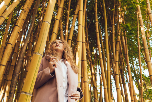 girl in a light coat among the bamboo trunks - Foto, afbeelding