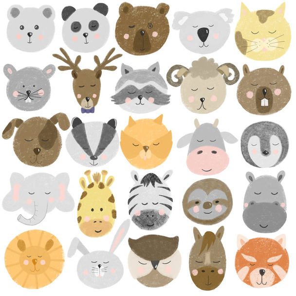 Collection of hand drawn cute animal faces (bear,deer, panda, raccoon, zebra, bunny, sloth, horse, cat, dog etc), hand drawn isolated on a white background - Photo, Image