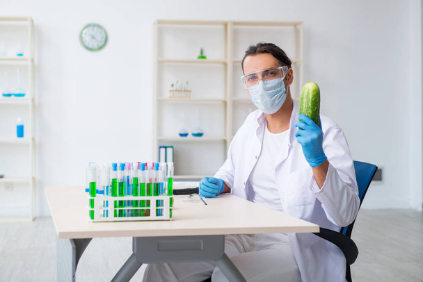 Nutrição masculina especialista em testes de vegetais em laboratório - Foto, Imagem