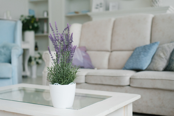 An artificial lavender flower in a white pot stands on a coffee  - Foto, Imagen